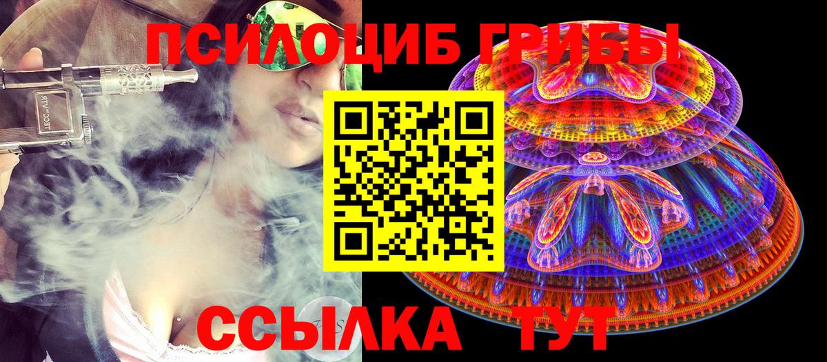 Псилоцибиновые грибы GOLDEN TEACHER  Псилоцибиновые грибы Psilocybine cubensis  Вход с VPN  Георгиевск 
