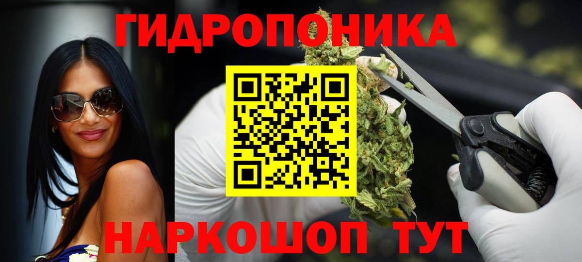 Конопля планчик Георгиевск